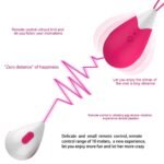 10 Speed XXOO Jumping Wireless Egg Vibrator