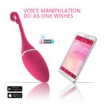 IRENA I Smartphone controlled Vibrator