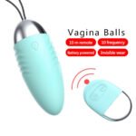 Spark Of Love Wireless Egg Vibrator