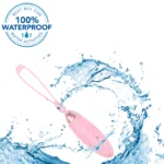 Secret Surprise 10 Function Wireless Love Egg Vibrator