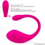 Dolp Lovesense App Vibrator
