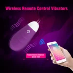 AiDi App Control Vibrator