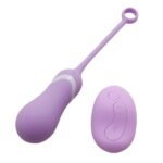 Remote Controlled Egg Vibrator
