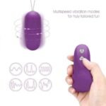 Remote Control Love Egg Vibrator
